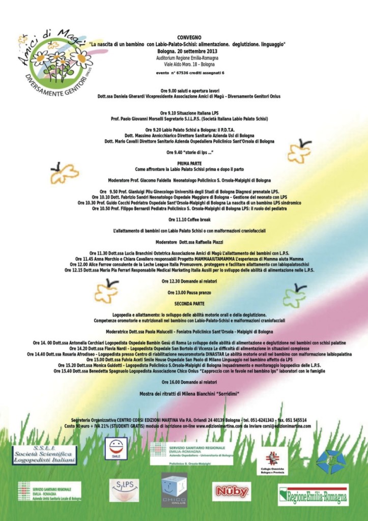 VolantinoAmiciMagu 2013